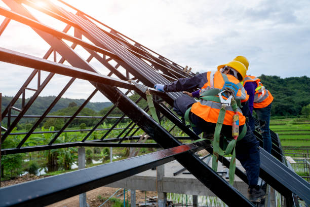 Professional Roofing Contractor in St Francis, MN