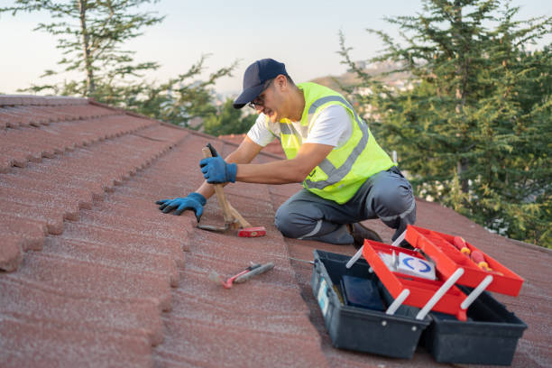 Best Flat Roof Repair Services  in St Francis, MN